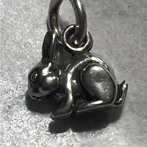 Easter Bunny Charm